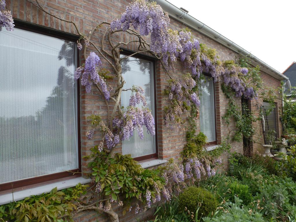 Guesthouse Kolibriehuys Nieuwkerke Luaran gambar