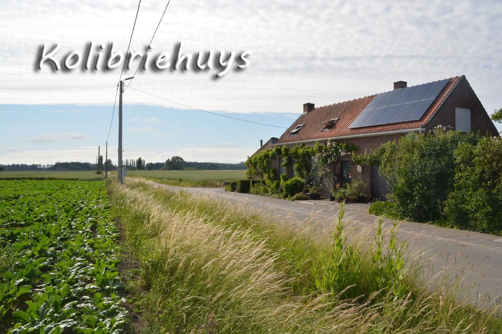 Guesthouse Kolibriehuys Nieuwkerke Luaran gambar